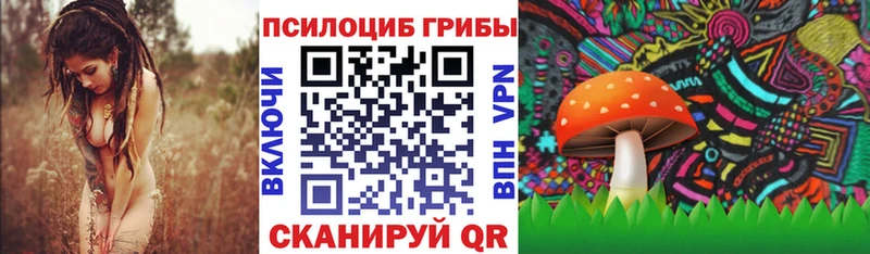 Купить  Полысаево  Псилоцибиновые грибы Psilocybine cubensis 